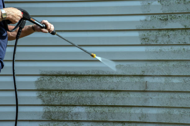 Best Driveway Pressure Washing  in Elsberry, MO